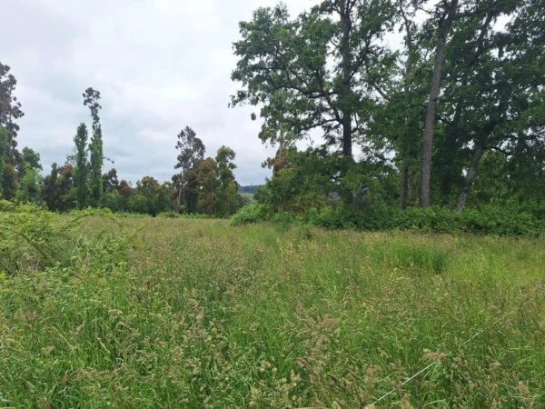 aires de paillaco $23.990.000