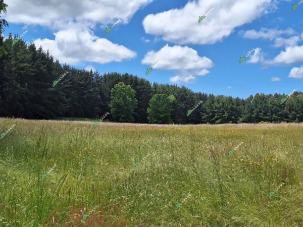 fundo santa clara $24.990.000 Últimas parcelas