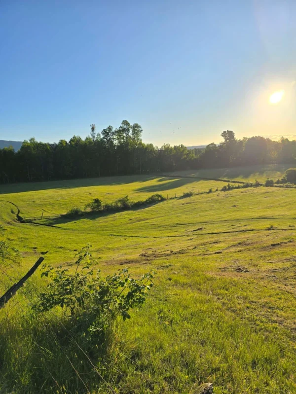 la comarca a solo 10 km de villarrica desde $39.990.000