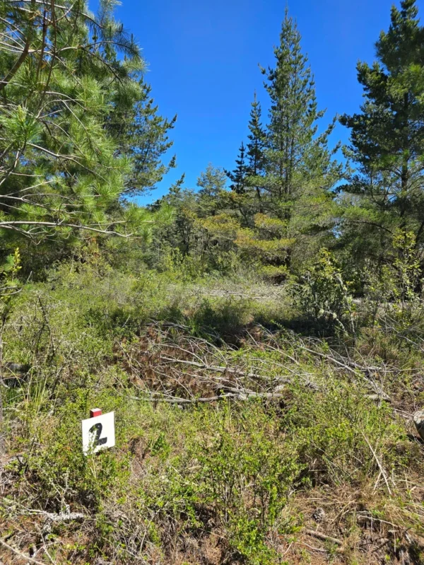 parcelas a minutos del lago calafquén $30.000.000