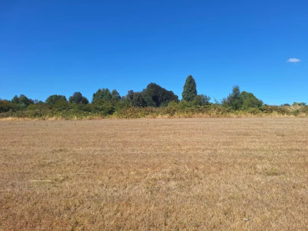 séptima faja hermosas parcelas a 20 min de villarrica desde $28.000.000