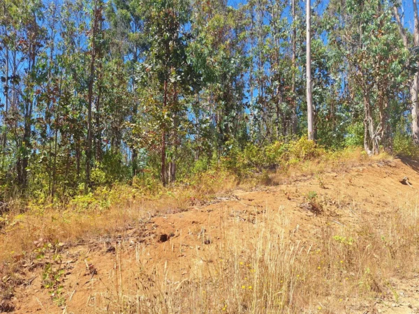 parque nativo sector huaqui $30.000.000 opción de crédito directo