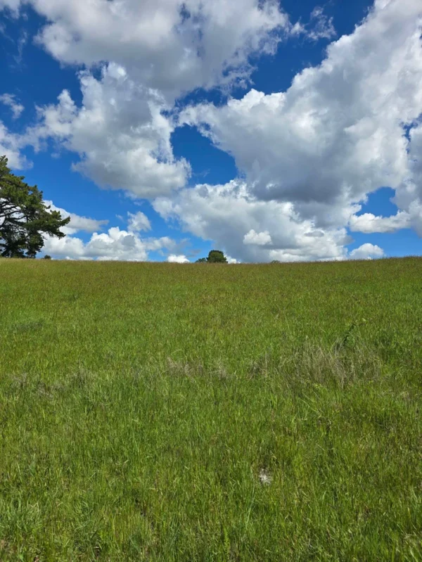 campo san nicolás Últimas parcelas disponibles