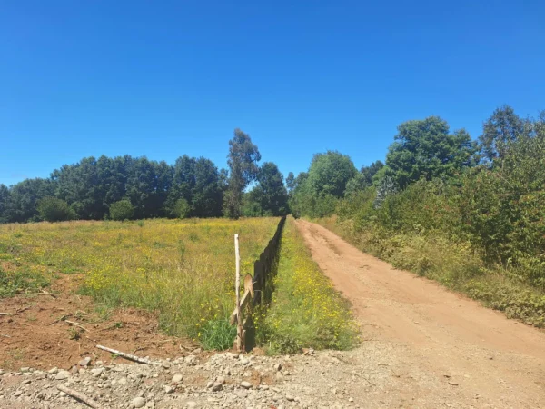 a solo 15 min de villarrica $38.000.000 crédito directo