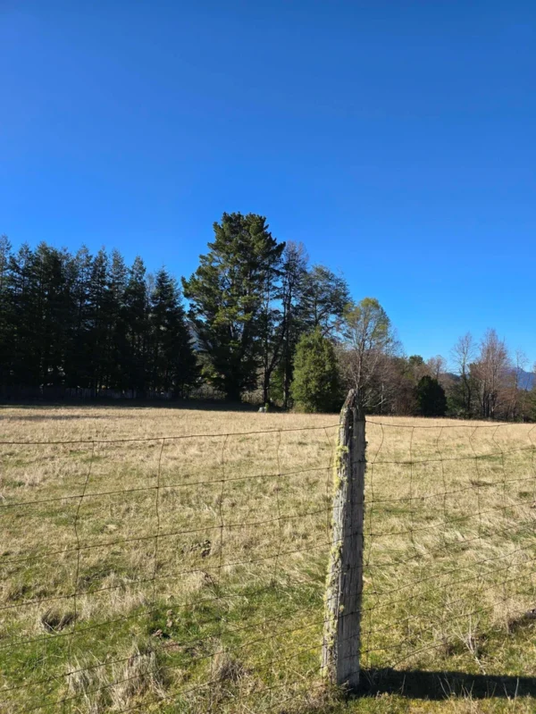 parcelas pino huacho lican ray