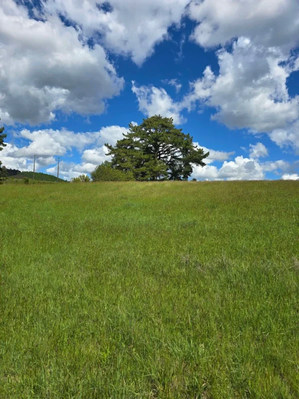 campo san nicolás Últimas parcelas disponibles