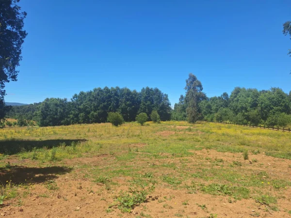 a solo 15 min de villarrica $38.000.000 crédito directo