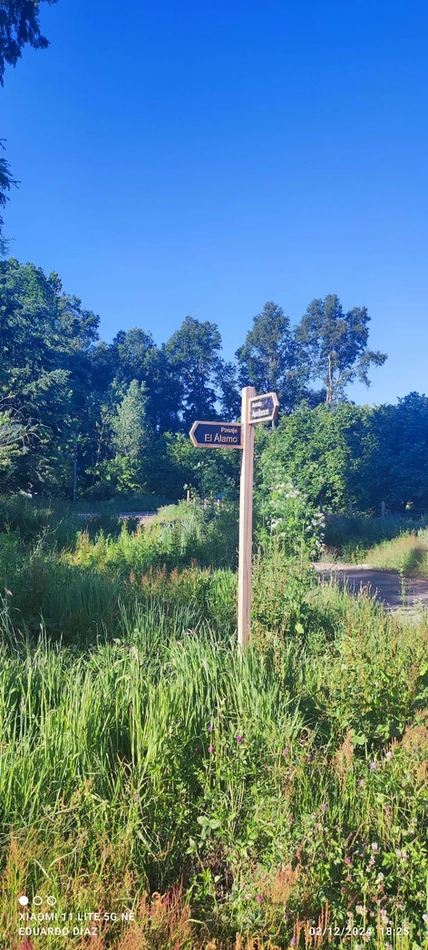 parcela en condominio los avellanos a 15 min de villarrica vendida