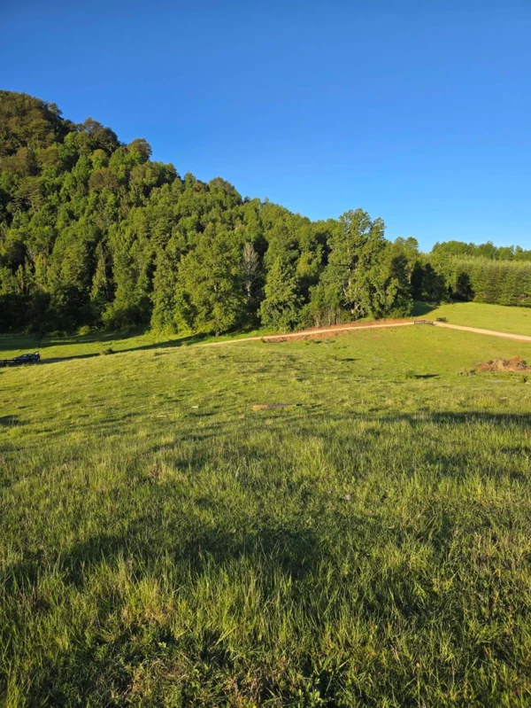 la comarca a solo 10 km de villarrica desde $39.990.000
