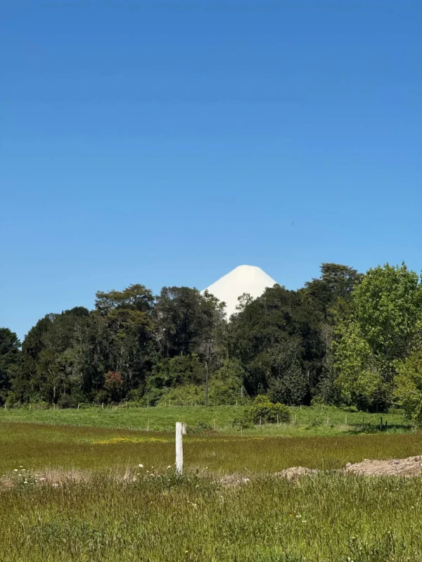 los molinos puerto octay