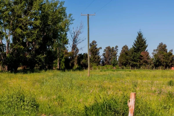 verde pradera 1 y 2 desde $15.990.000 crédito directo