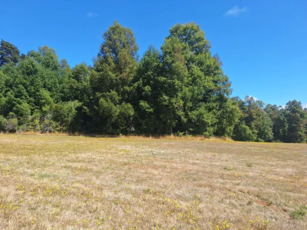 parque nativo sector huaqui $30.000.000 opción de crédito directo