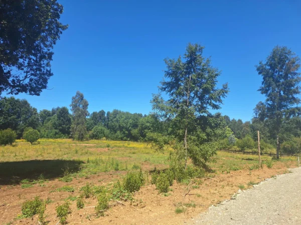 a solo 15 min de villarrica $38.000.000 crédito directo