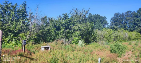 parcela en condominio los avellanos a 15 min de villarrica vendida