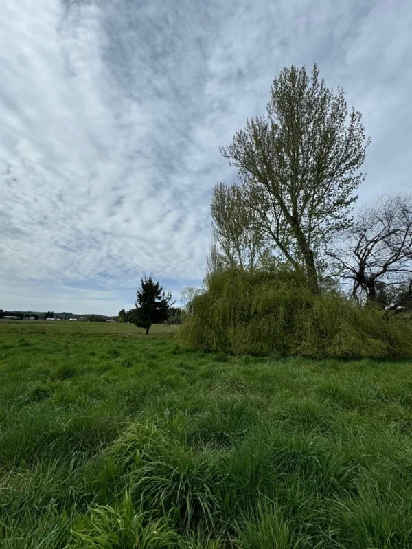 terrazas de crucero desde $25.000.000