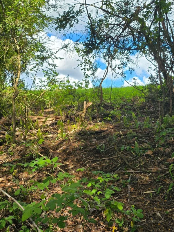 campo san nicolás Últimas parcelas disponibles