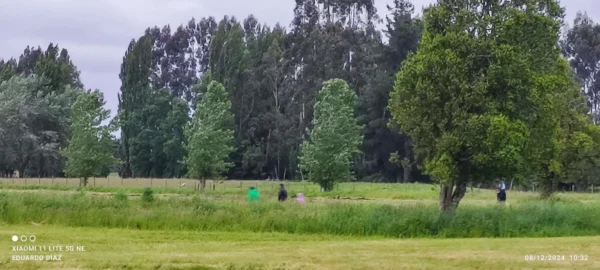 portal del ranco $24.990.000