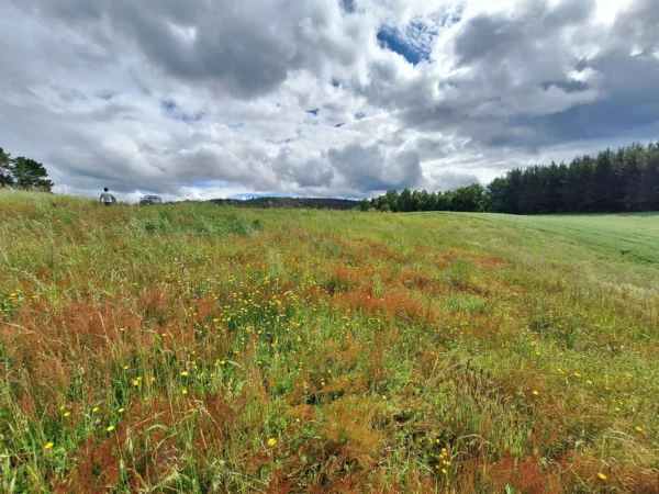 refugio huellanto sexta faja desde $19.990.000