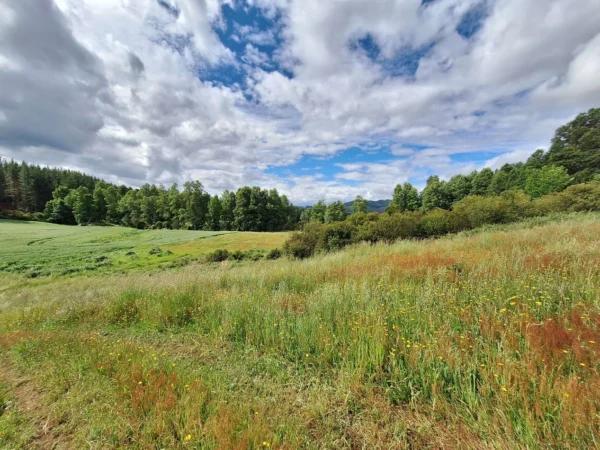 refugio huellanto sexta faja desde $19.990.000