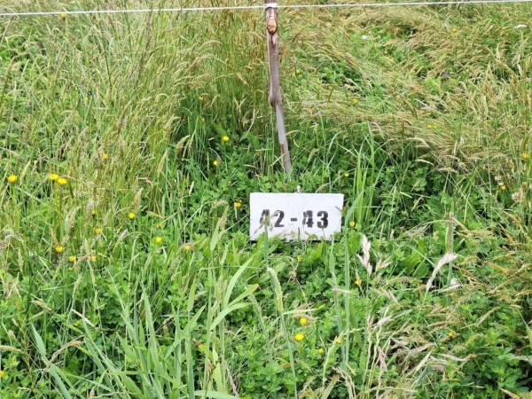 aires de paillaco $23.990.000