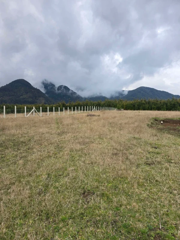 parcelas ruta cunco melipeuco