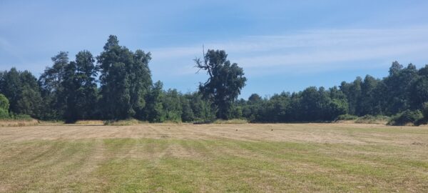 aires de puerto nuevo $22.990.000