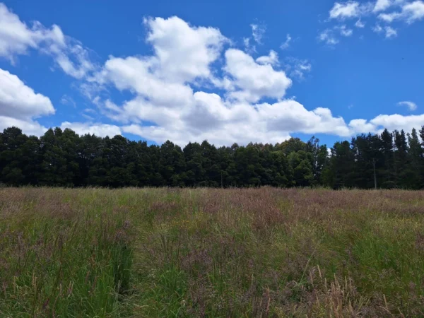 fundo santa clara $24.990.000 Últimas parcelas