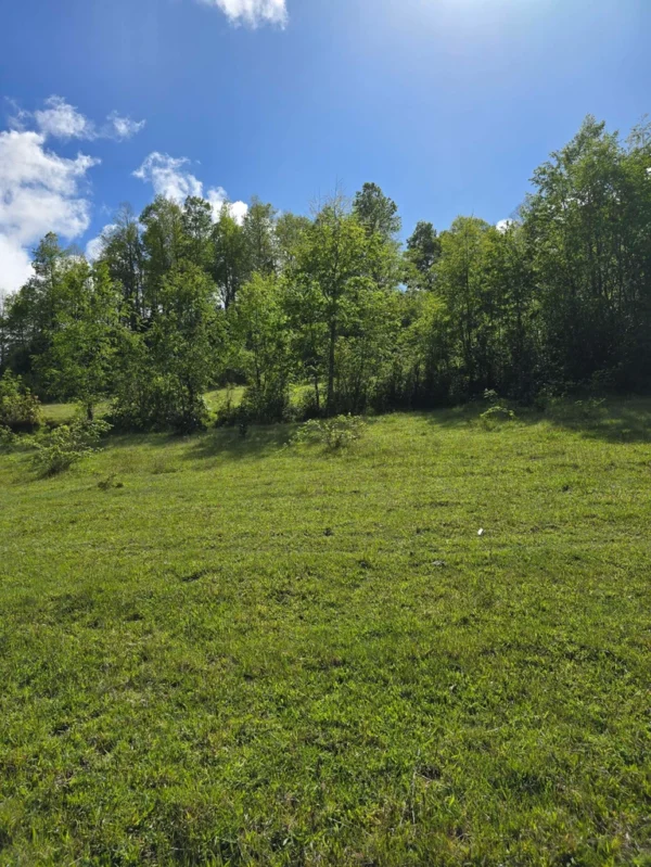 a 20 min de licanray parcelas de 1 hectárea con estero