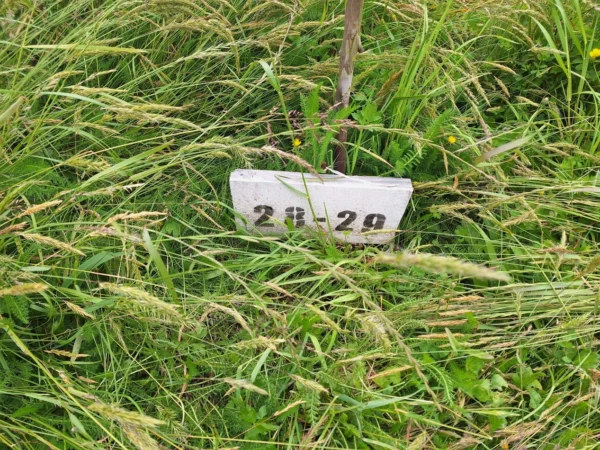 aires de paillaco $23.990.000