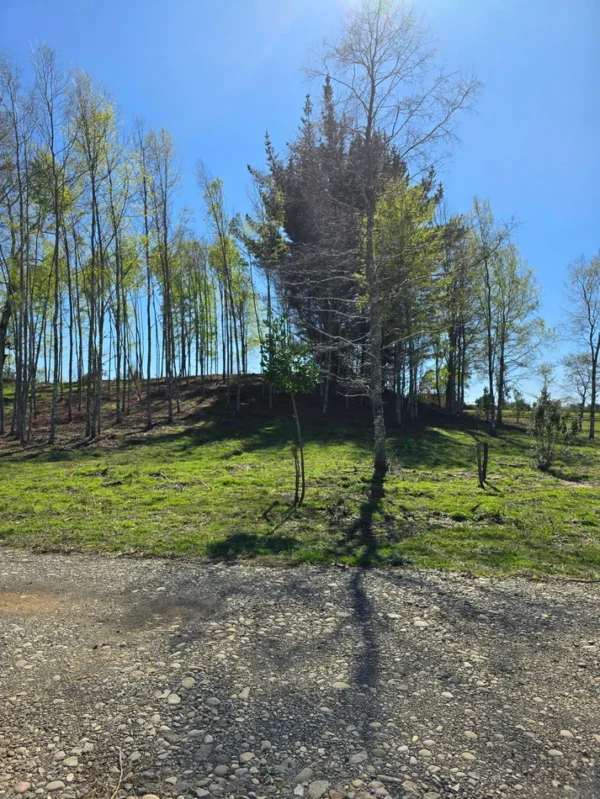 a solo 15 min de villarrica $38.000.000 crédito directo