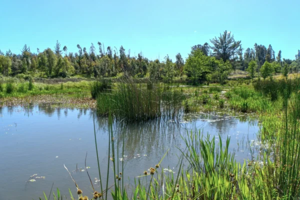 valle san andrés yumbel desde $23.990.000