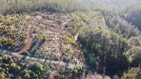 parcela de 1,9 hectáreas loncoche $39.990.000