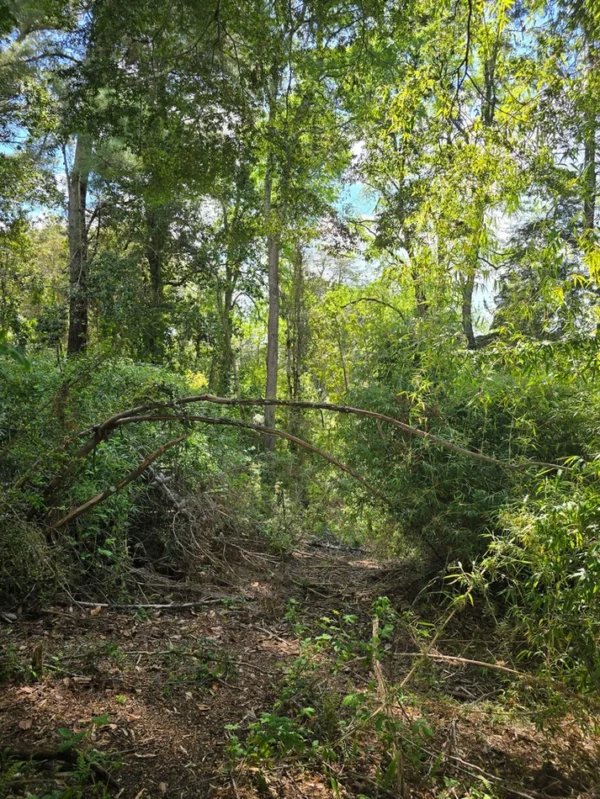 campo san nicolás Últimas parcelas disponibles