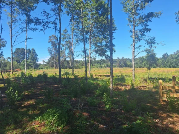 a solo 15 min de villarrica $38.000.000 crédito directo