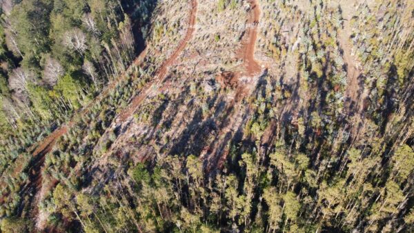 parcela de 1,9 hectáreas loncoche $39.990.000