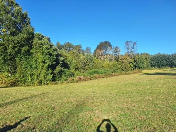 rinconada a solo 15 min de villarrica