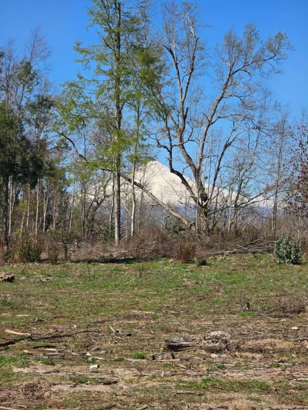 a solo 15 min de villarrica $38.000.000 crédito directo