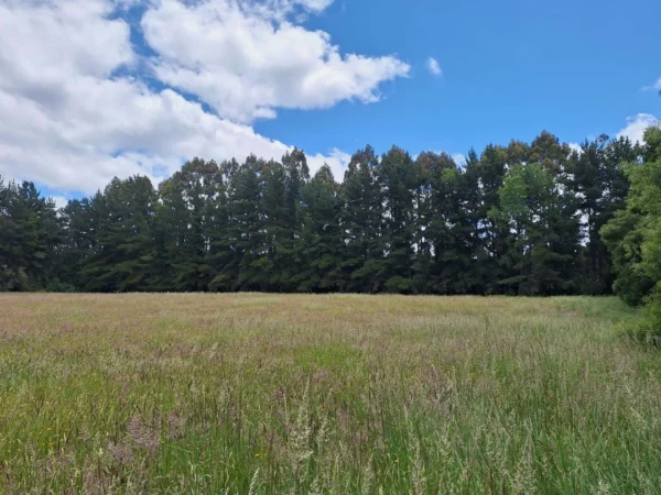 fundo santa clara $24.990.000 Últimas parcelas