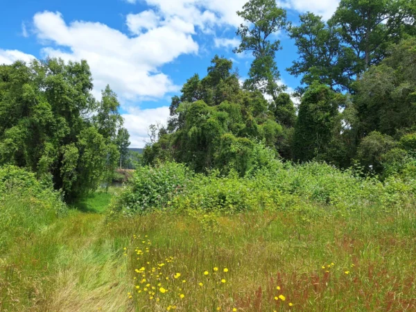 fundo santa clara $24.990.000 Últimas parcelas