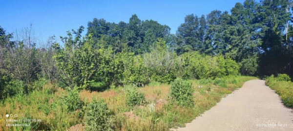 parcela en condominio los avellanos a 15 min de villarrica vendida