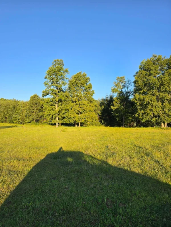 la comarca a solo 10 km de villarrica desde $39.990.000