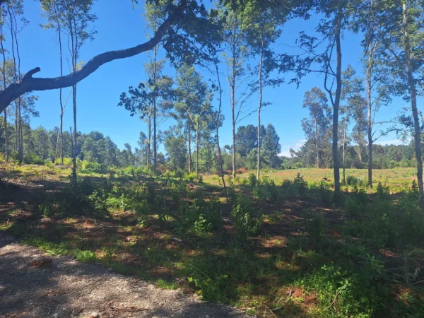 a solo 15 min de villarrica $38.000.000 crédito directo