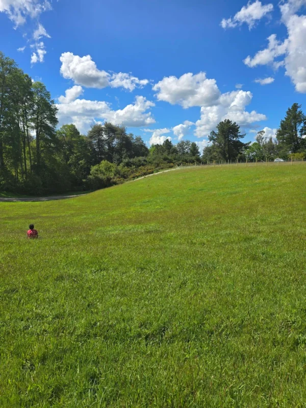 campo san nicolás Últimas parcelas disponibles