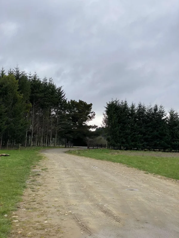 terrazas de crucero desde $25.000.000