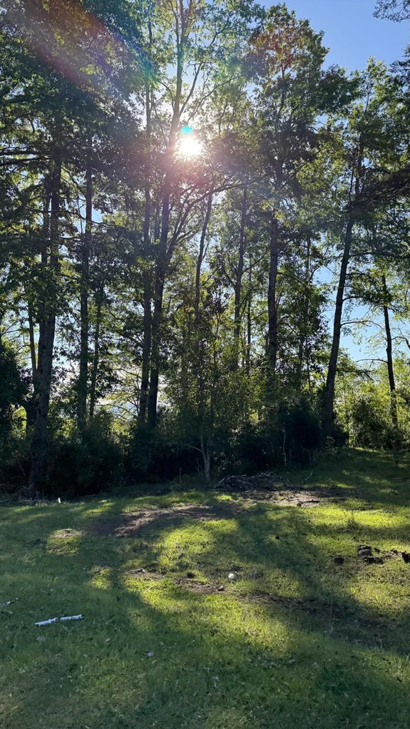 cumbres de puc贸n $29.990.000