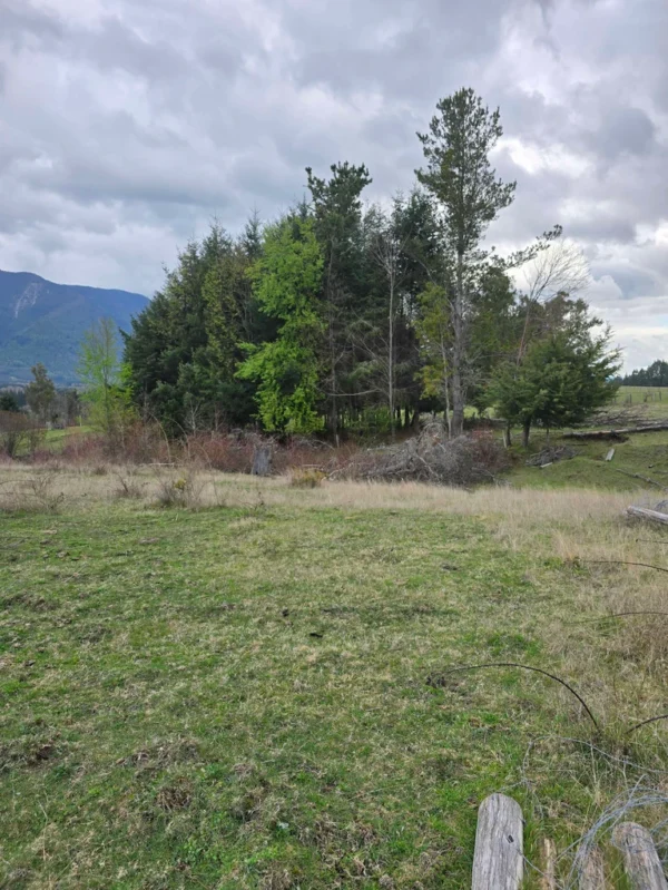 parcelas ruta cunco melipeuco