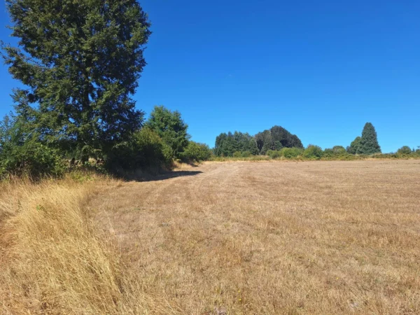 séptima faja hermosas parcelas a 20 min de villarrica desde $28.000.000