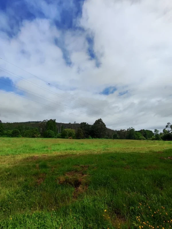 aires de paillaco $23.990.000