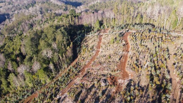 parcela de 1,9 hectáreas loncoche $39.990.000
