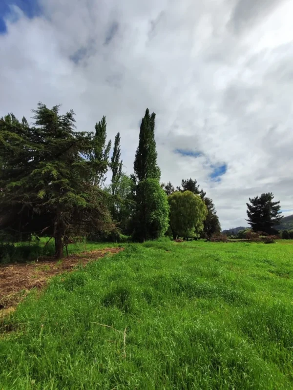 aires de paillaco $23.990.000